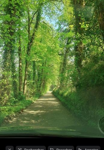 a dirt road with trees on both sides of it at LA LANDE in Pleyber-Christ