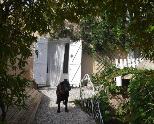 L'Occitania Chambre d'hotes – Photos 2