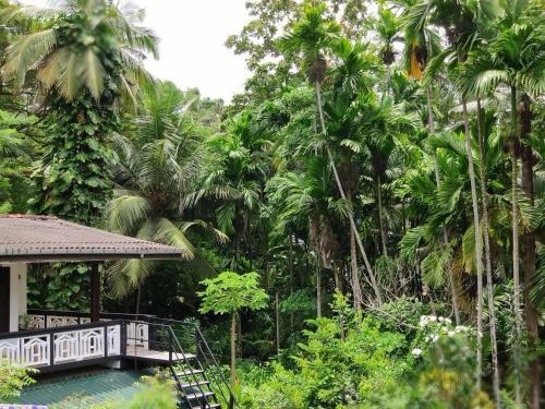 a house in the middle of a forest of palm trees at Green turf in Galle