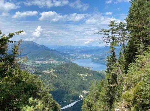 BertoldiにあるCasa Luciana nel cuore dell'Alpe(022102-AT-849663)のギャラリーの写真