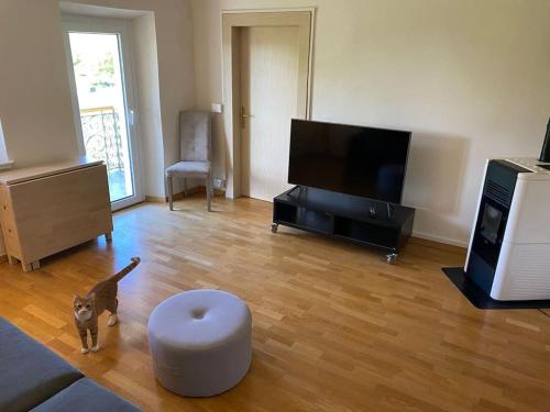 a cat standing in a living room with a tv at Casa Luciana nel cuore dell'Alpe(022102-AT-849663) in Bertoldi