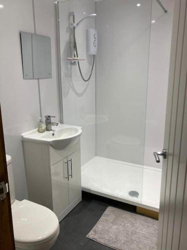 a bathroom with a shower and a toilet and a sink at The Panthouse Lodge in Felton