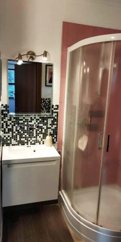 a bathroom with a shower and a sink at Fülöp Kisház in Balatonszepezd
