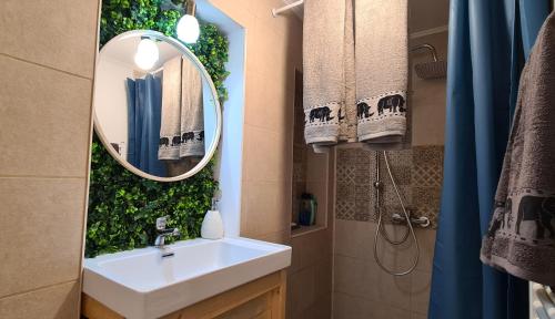 a bathroom with a sink and a mirror at Zeiss house in Braşov