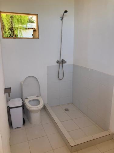 a white bathroom with a toilet and a shower at Glamping Viñas de Elqui in Vicuña