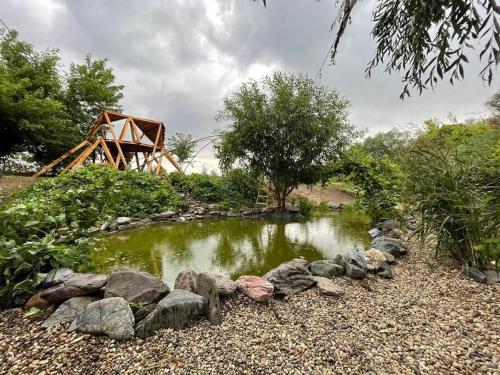a pond with rocks in the middle of a garden at Casă din povești în mijlocul naturii! in Arad