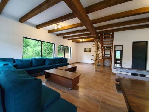 Χώρος καθιστικού στο Cabana Nicorici