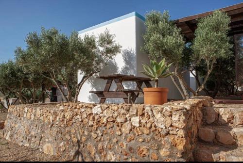 Zahrada ubytování El Rincón de los Albaricoques