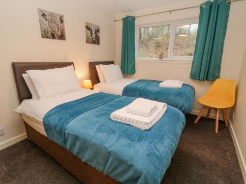2 camas en una habitación con cortinas verdes y ventana en Wren's Nest Manorcombe, en Callington