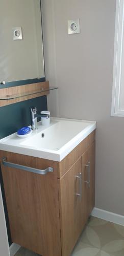 un baño con lavabo y espejo en camping les sables du midi, en Sérignan