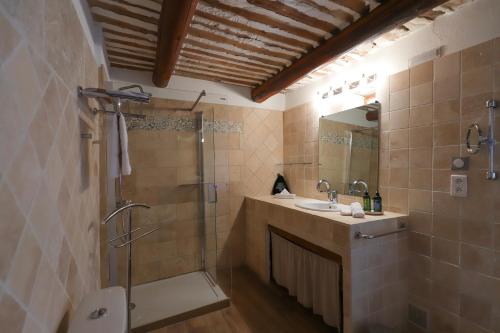 a bathroom with a shower and a sink and a shower at LA FERME DE LA HUPPE in Gordes