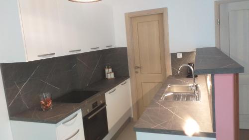 uma cozinha com um lavatório e uma bancada em Apart CENTAR UMAG EDDA Joakima Rakovca 7 E 52470-Umag em Umag