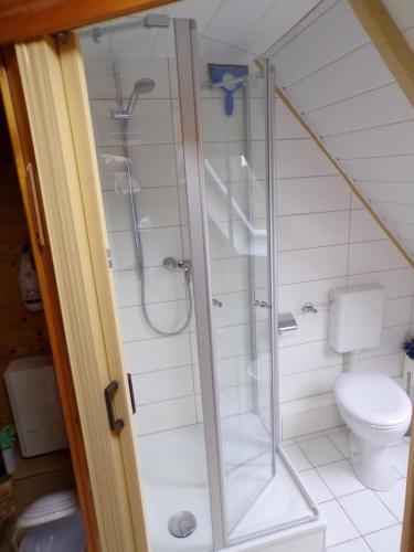 a bathroom with a shower and a toilet at Peeneurlaub in Lassan