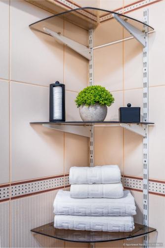a shelf with towels and a potted plant at Apartament Nordic in Gura Humorului