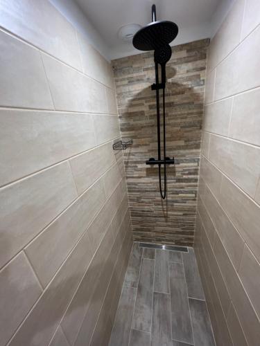 La salle de bains est pourvue d'une douche et de murs carrelés. dans l'établissement Les Gîtes de la Bergerie - Boule de Neige, à Meximieux