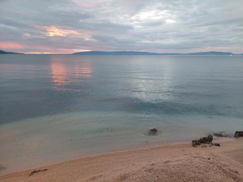 a beach with some animals in the water at Gavza Sky View Apartment in Cres