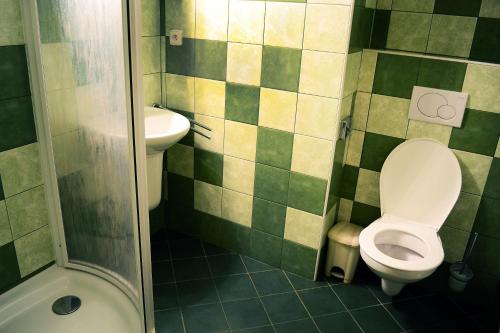 a bathroom with a toilet and a sink at Pension Fontana in Poděbrady