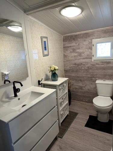 a bathroom with a white sink and a toilet at Chalet de campagne en Dordogne avec piscine in Saint Agne