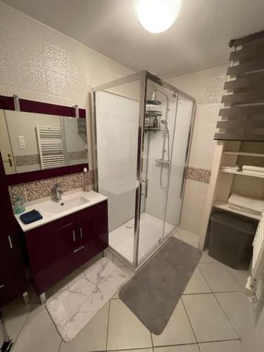 une salle de bain avec douche et lavabo dans l'établissement Appartement plein centre ville st dié des Vosges, à Saint-Dié-des-Vosges