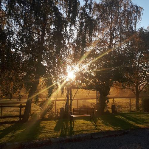 a bench in a park with the sun shining through trees at The Stables at Lorum Old Rectory in Bagenalstown