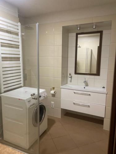 y baño con lavadora y lavamanos. en Exclusive Jacuzzi Villa Kretinga en Kretinga