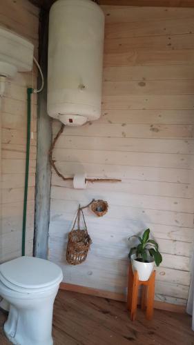 a bathroom with a toilet and a potted plant at El octogono in Tigre
