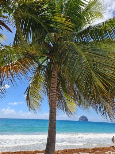 Φυσικό τοπίο κοντά σε αυτό το διαμέρισμα