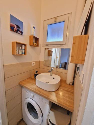 La petite salle de bains est pourvue d'un lavabo et d'un lave-linge. dans l'établissement Appart tout à portée de tongs!, à Mimizan