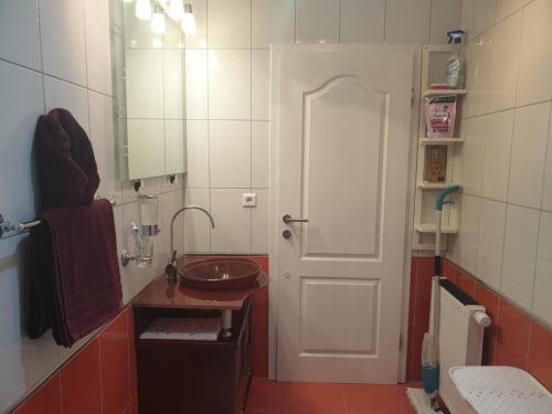 baño con lavabo, espejo y puerta en APARTMAN SOFIA en Županja