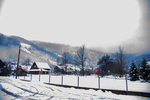 a snow covered village with a mountain in the background at Villa Bjelolasica in Jasenak