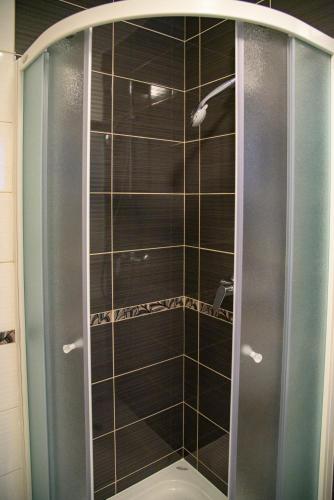 a shower with a glass door in a bathroom at Villa Bjelolasica in Jasenak
