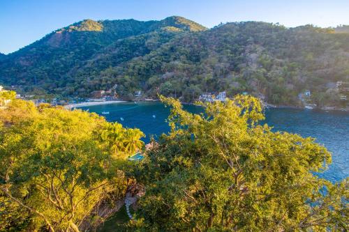 a view of a lake with trees in the foreground at Villa Lala Boutique Hotel Adults Only in Puerto Vallarta