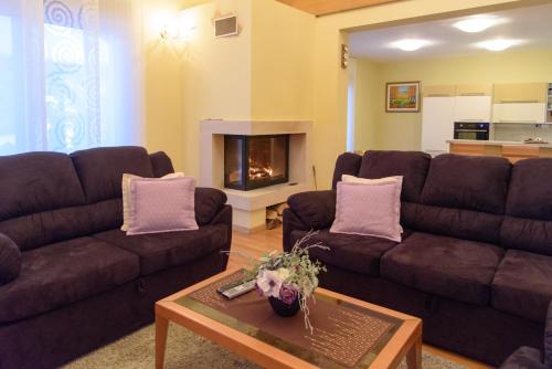sala de estar con 2 sofás y chimenea en Villa Bjelolasica en Jasenak