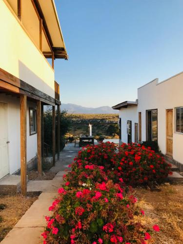 a garden of red flowers next to a building at Eco Lodge Loro Tuerto in Guanaqueros