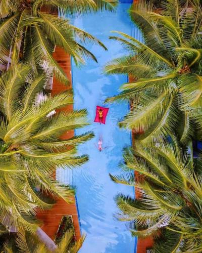 a kite flying over a pool next to palm trees at Diamond Apartments Phuket Bangtao in Phuket Town