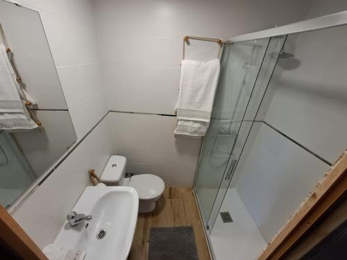 a bathroom with a shower and a toilet and a sink at La Corralada de Merón in San Vicente de la Barquera