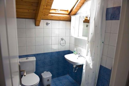 a bathroom with a toilet and a sink at Pandora Villa in Vathi, Ithaka
