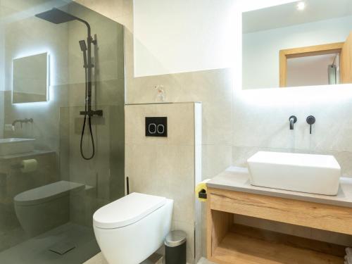 a bathroom with a toilet and a sink and a shower at Haus Heimat - Alpenrose 