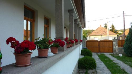 Rózsakert Vendégház 3411 Szomolya, Kossuth út 30. kép - 3