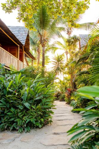 a path through a garden with palm trees and a house at Café Jeri Hotel - Adults Only in Jericoacoara