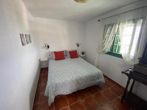Un dormitorio con una cama con almohadas rojas y una ventana en Casa Rural La Sombrera, en Fasnia