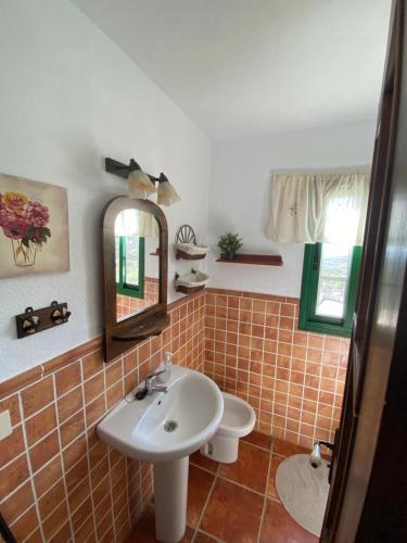 uma casa de banho com um lavatório, um WC e um espelho. em Casa Rural La Sombrera em Fasnia