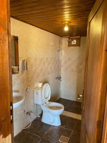 a bathroom with a toilet and a sink at Scoop Rum in Wadi Rum