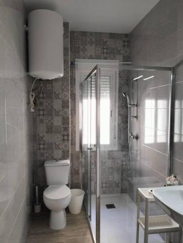 a bathroom with a toilet and a shower and a sink at Alojamiento Dunas centro in Tabernas
