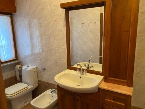 W łazience znajduje się umywalka, toaleta i lustro. w obiekcie Apartment Fabiola w mieście Sistiana