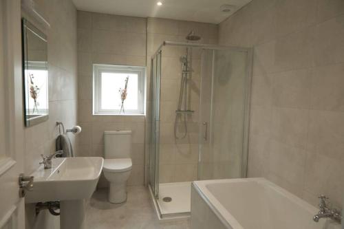 ein Bad mit einer Dusche, einem WC und einem Waschbecken in der Unterkunft Deerpark Cottage, Inistioge, Kilkenny in Inistioge
