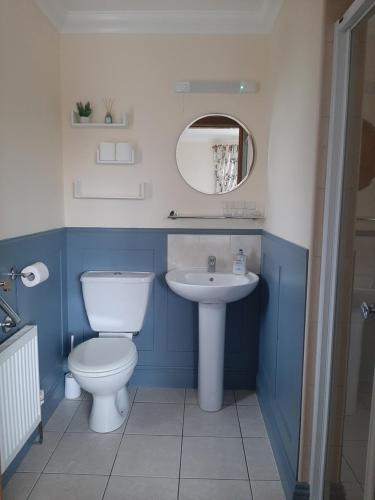 uma casa de banho com um WC e um lavatório em Bunratty Haven Bed & Breakfast em Bunratty