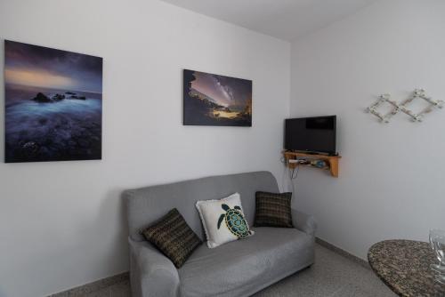 a living room with a couch and a tv at Apartamentos con vistas al mar en El Remo in Los Llanos de Aridane