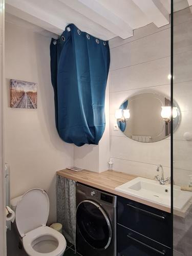 La salle de bains est pourvue de toilettes, d'un lavabo et d'un miroir. dans l'établissement Le Coeur de Fresnay, à Fresnay-sur-Sarthe
