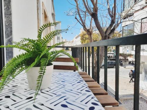 una pianta in vaso seduta su un tavolo sul balcone di Faro Casa da Baixa a Faro